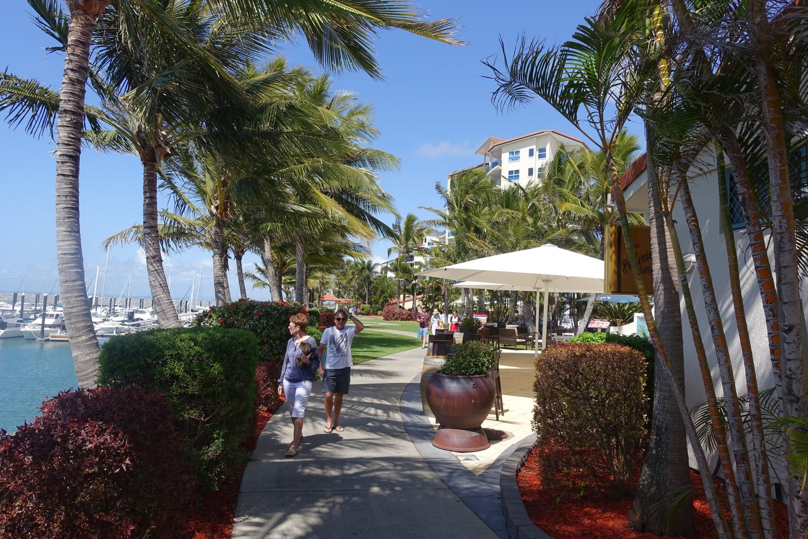 The marina walk with palms and boats at Mackay Harbour